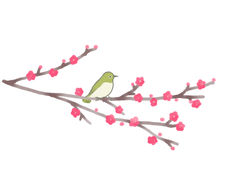 梅の花とメジロのイラスト｜さしえや