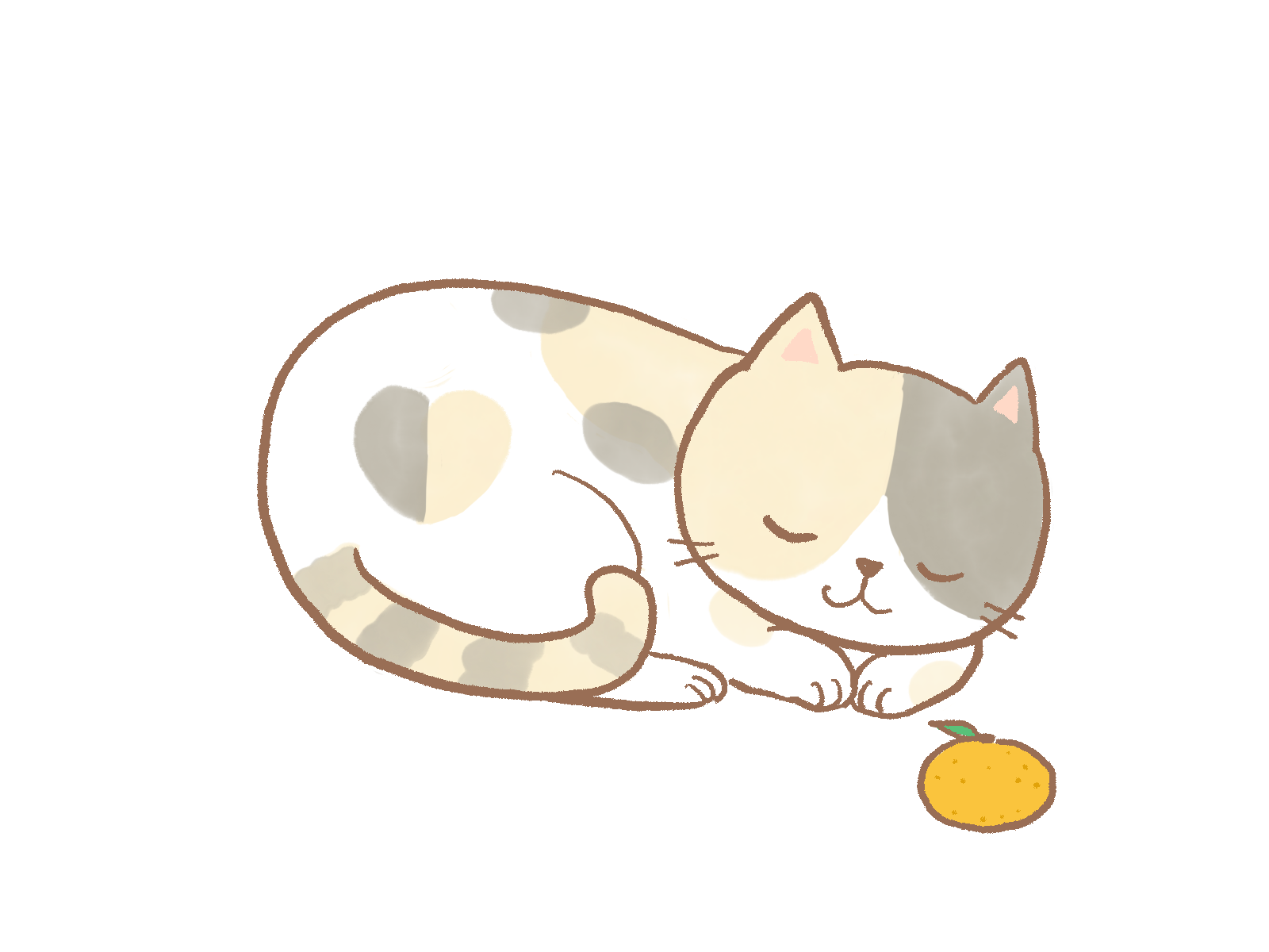 丸くなる猫とみかんのイラスト