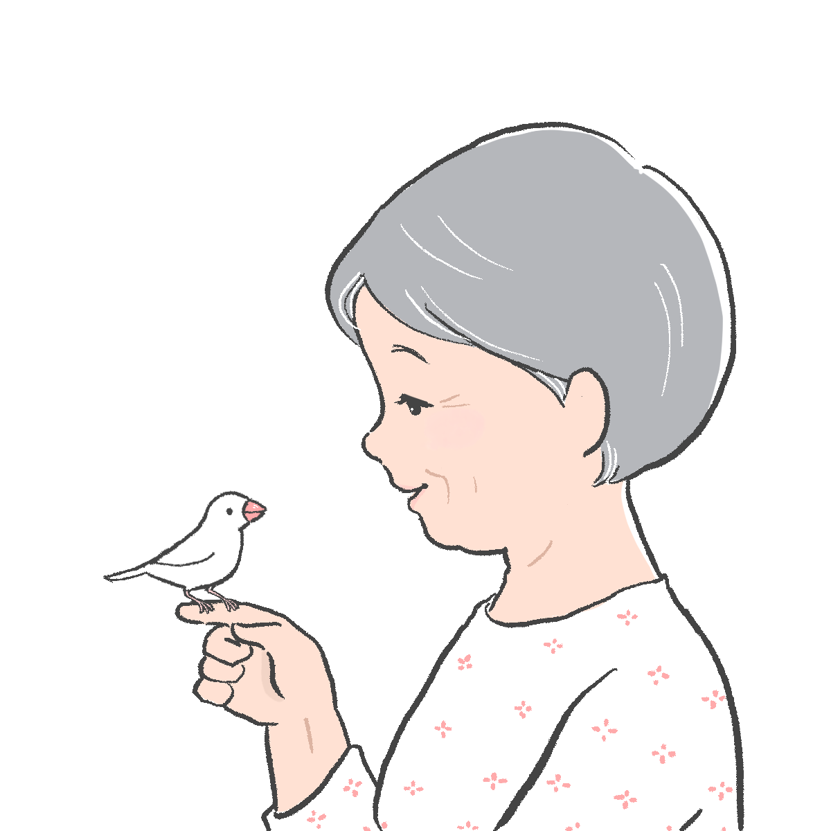 小鳥とおばあさんのイラスト｜さしえやフリー素材