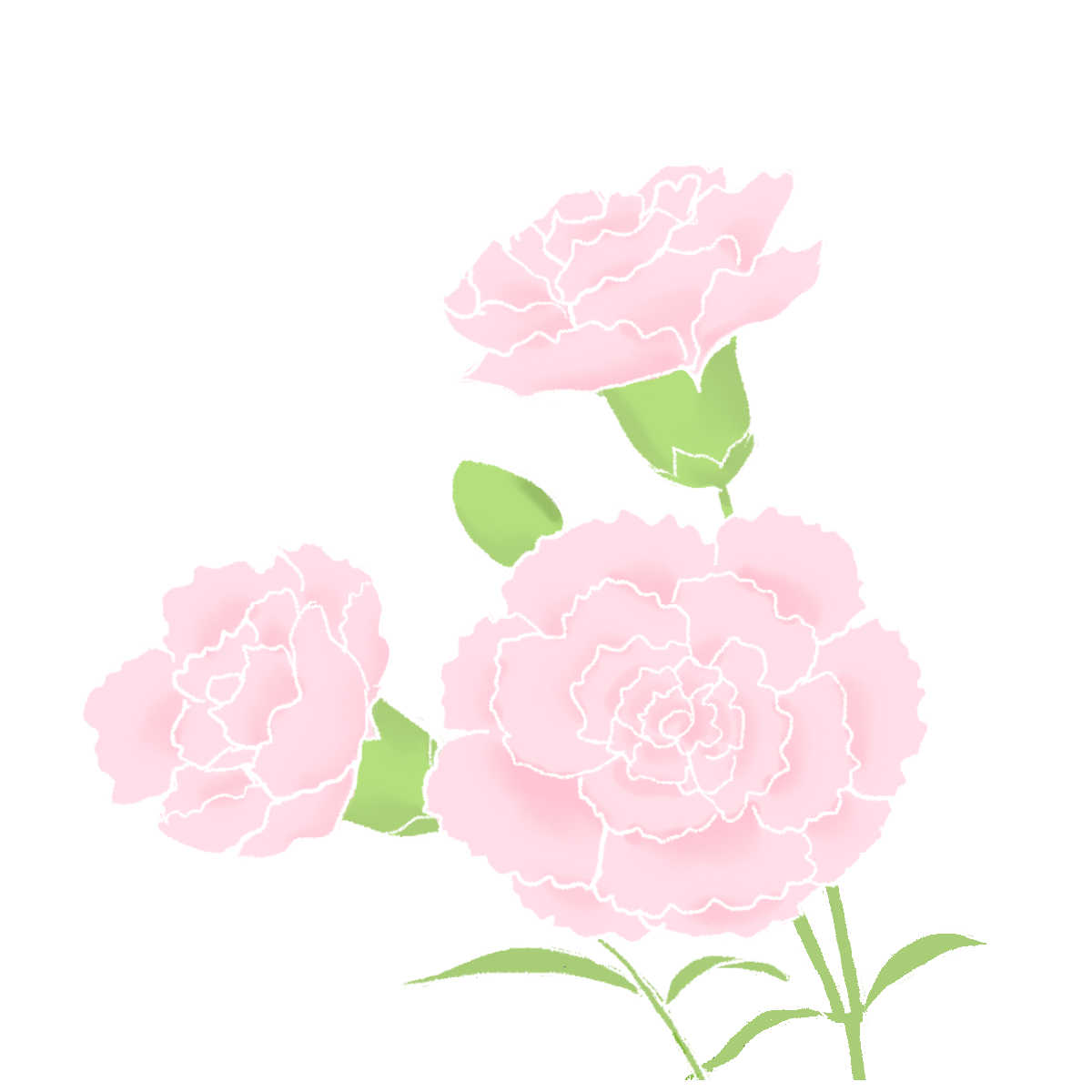 カーネーションのイラスト1（薄いピンク）｜さしえやフリー素材
