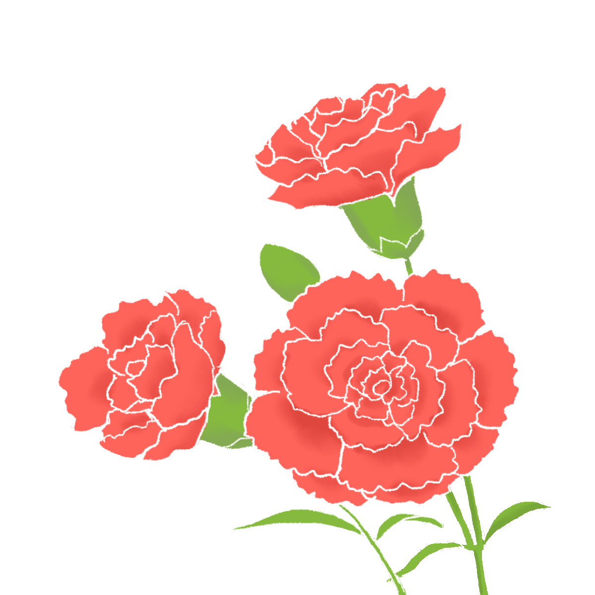 カーネーションのイラスト（赤）｜さしえやフリー素材
