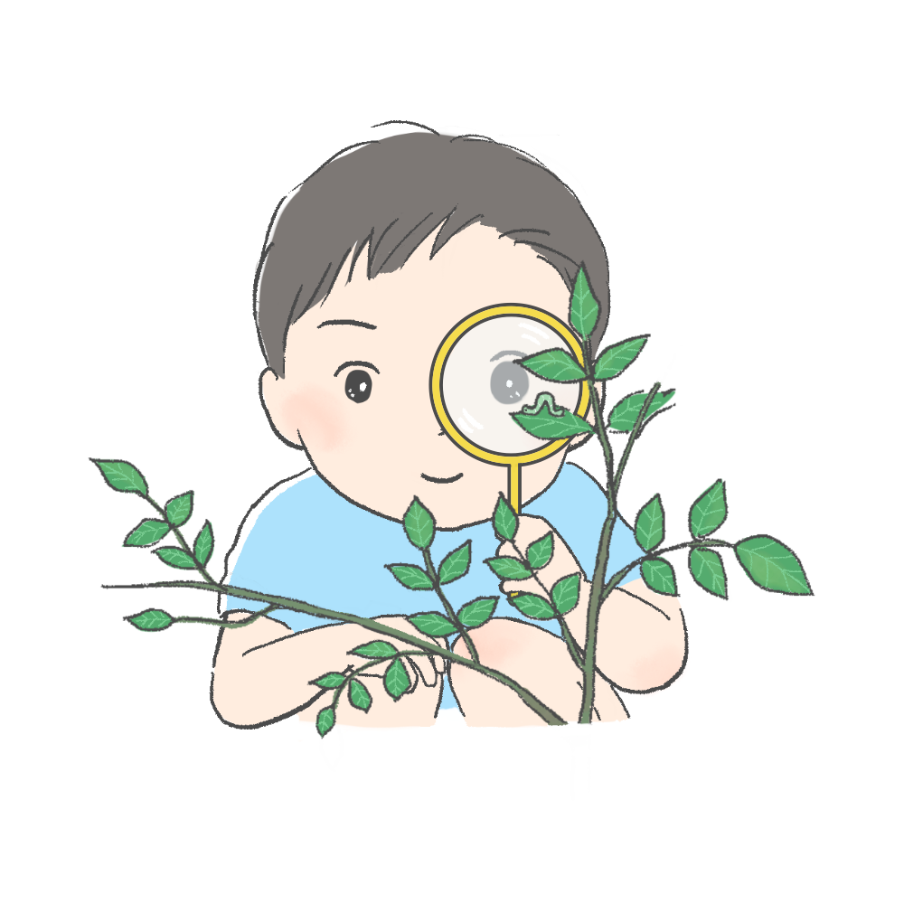 虫眼鏡で虫を見る子どものイラスト｜さしえや