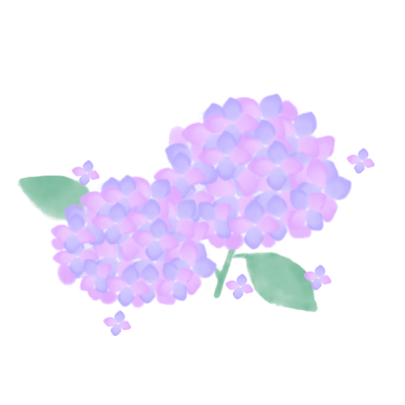 アジサイのイラスト|さしえや