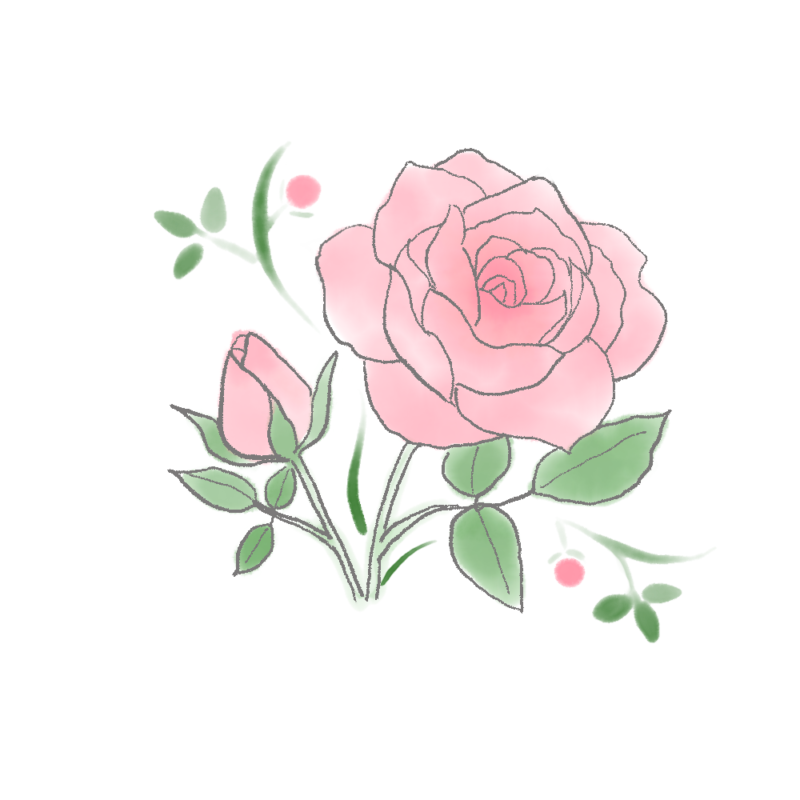 バラのイラスト|さしえやフリー素材