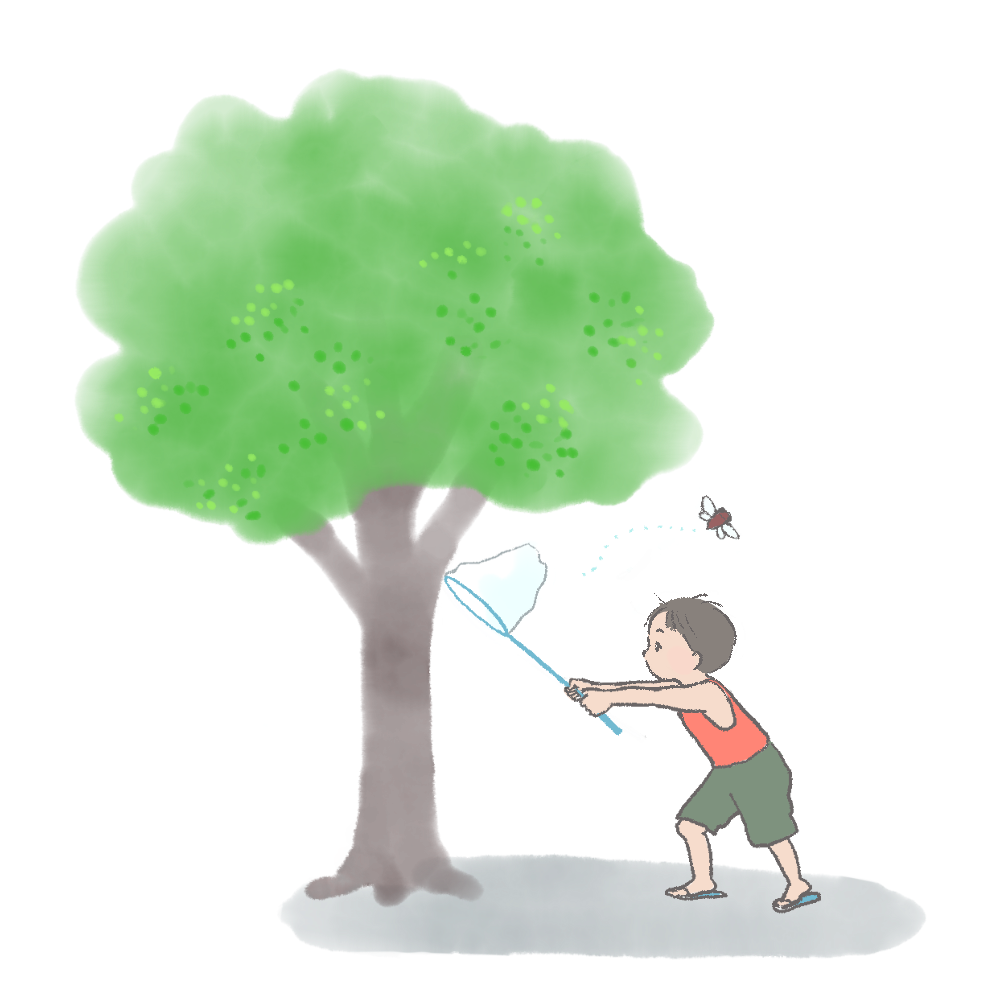 虫取りをする子どものイラスト｜さしえや