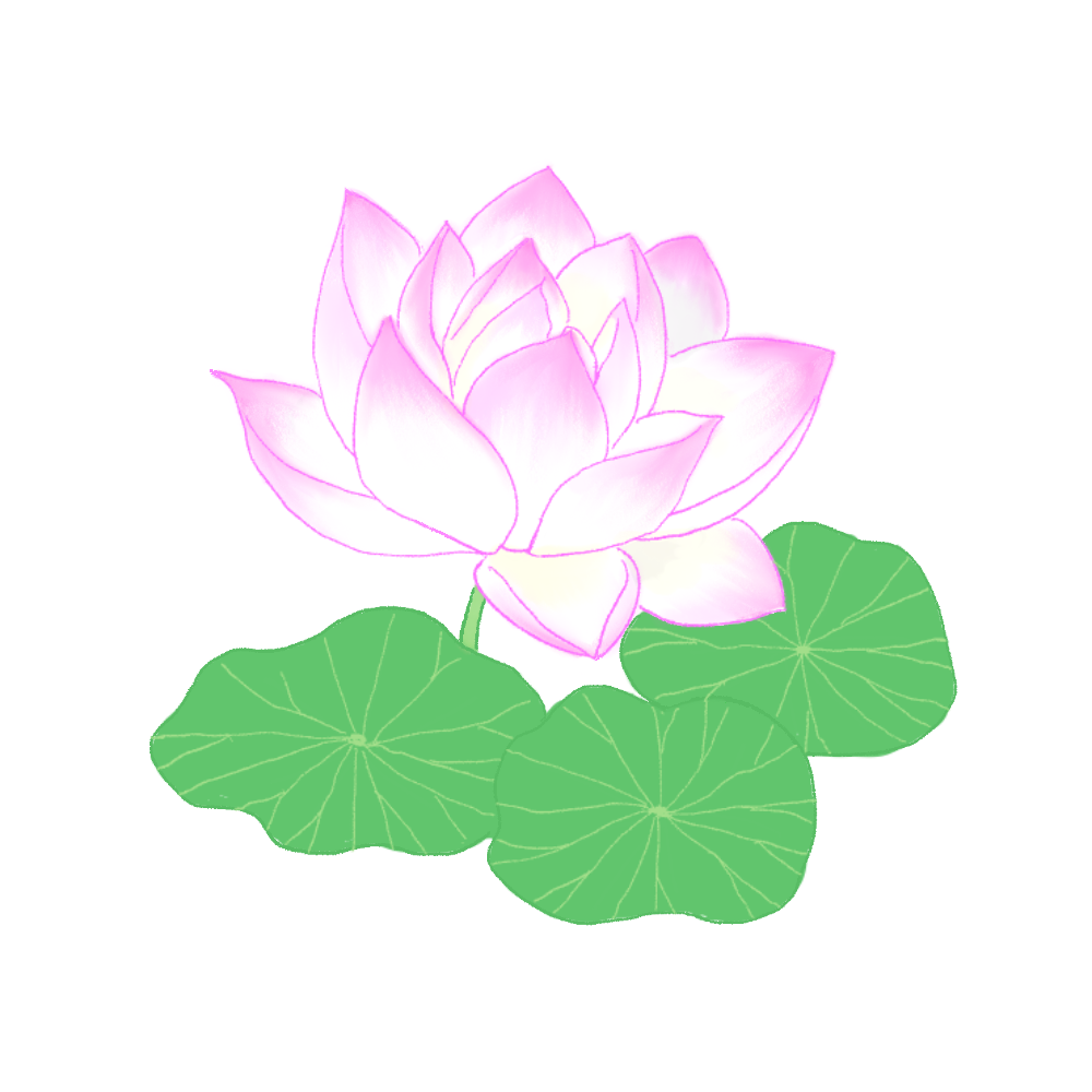 ハスの花のイラスト｜さしえや