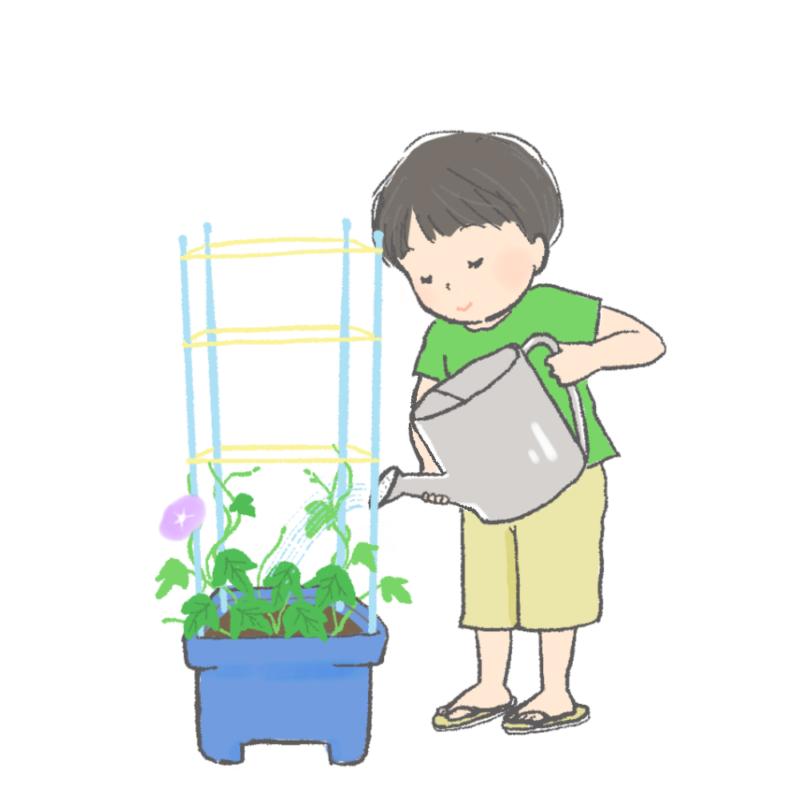 朝顔の水やりをする子どものイラスト｜さしえや