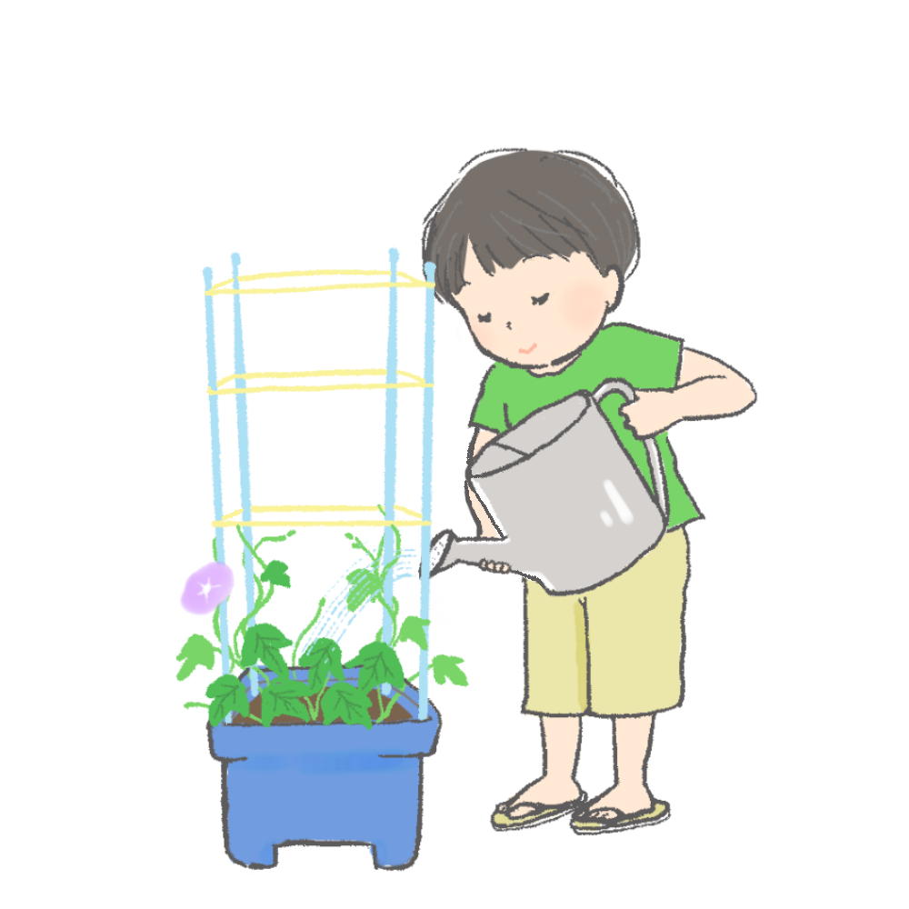 朝顔の水やりをする子どものイラスト｜さしえや