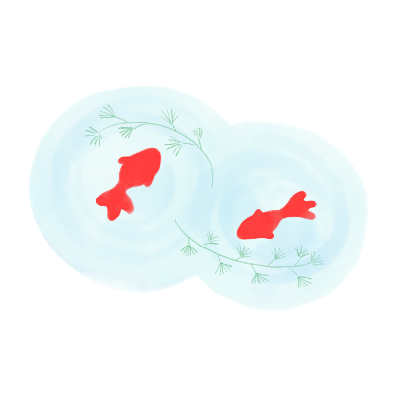 金魚のイラスト|さしえや