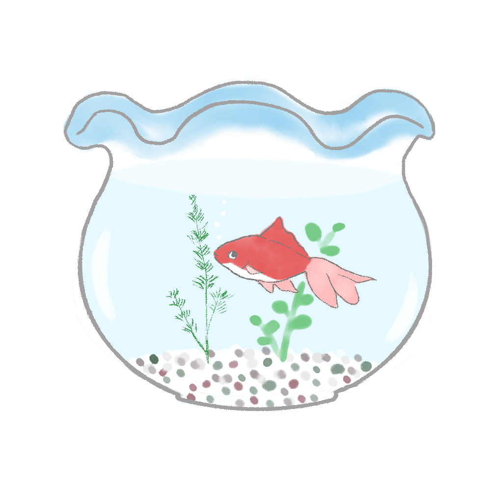金魚鉢と金魚のイラスト｜さしえや