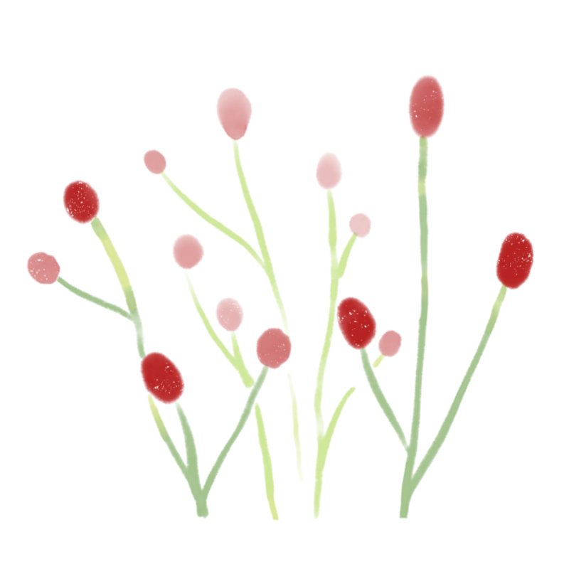 ワレモコウのイラスト｜さしえや